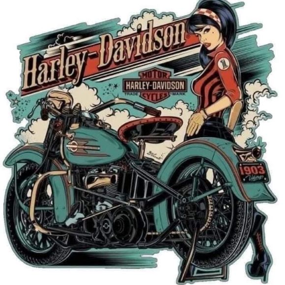 Examples of Harley magnets - Picture 5 of 16
